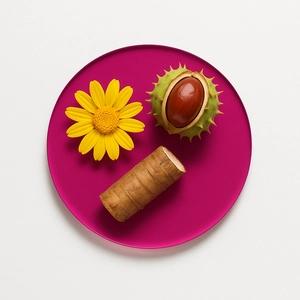 3R Complex (Arnica, Horse Chestnut, and Burdock Root Extract)